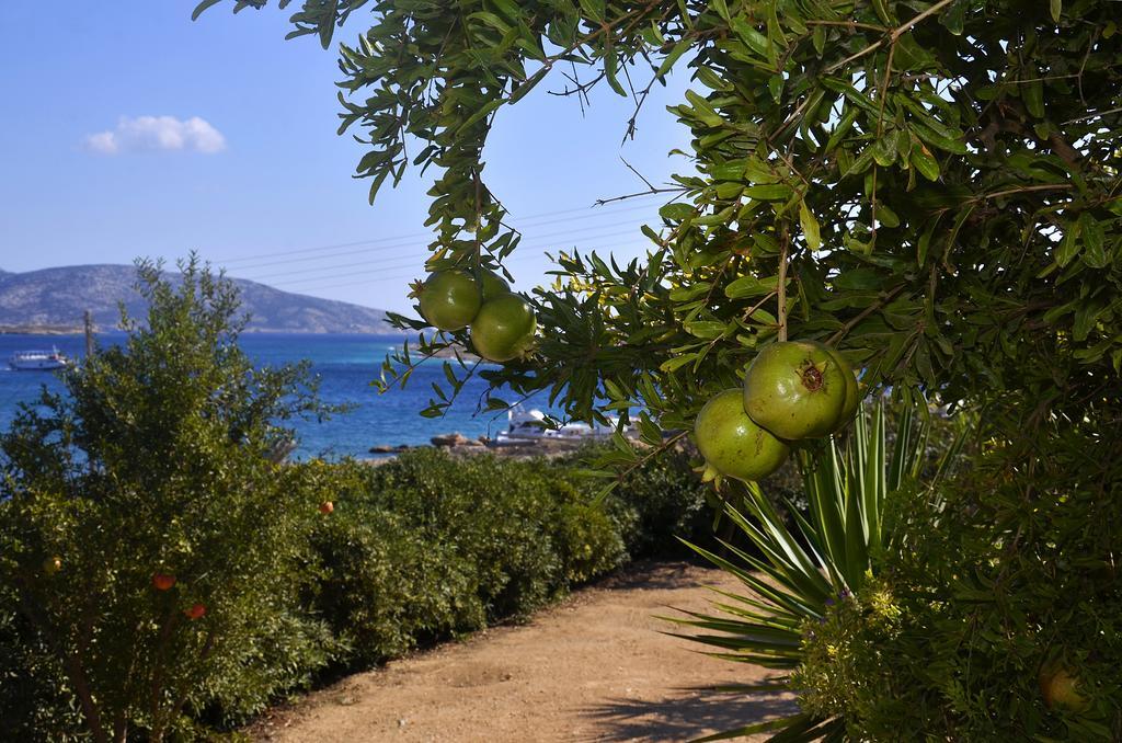 Onar Studios Koufonisia Exteriér fotografie